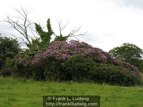 Around Heapstown Cairn